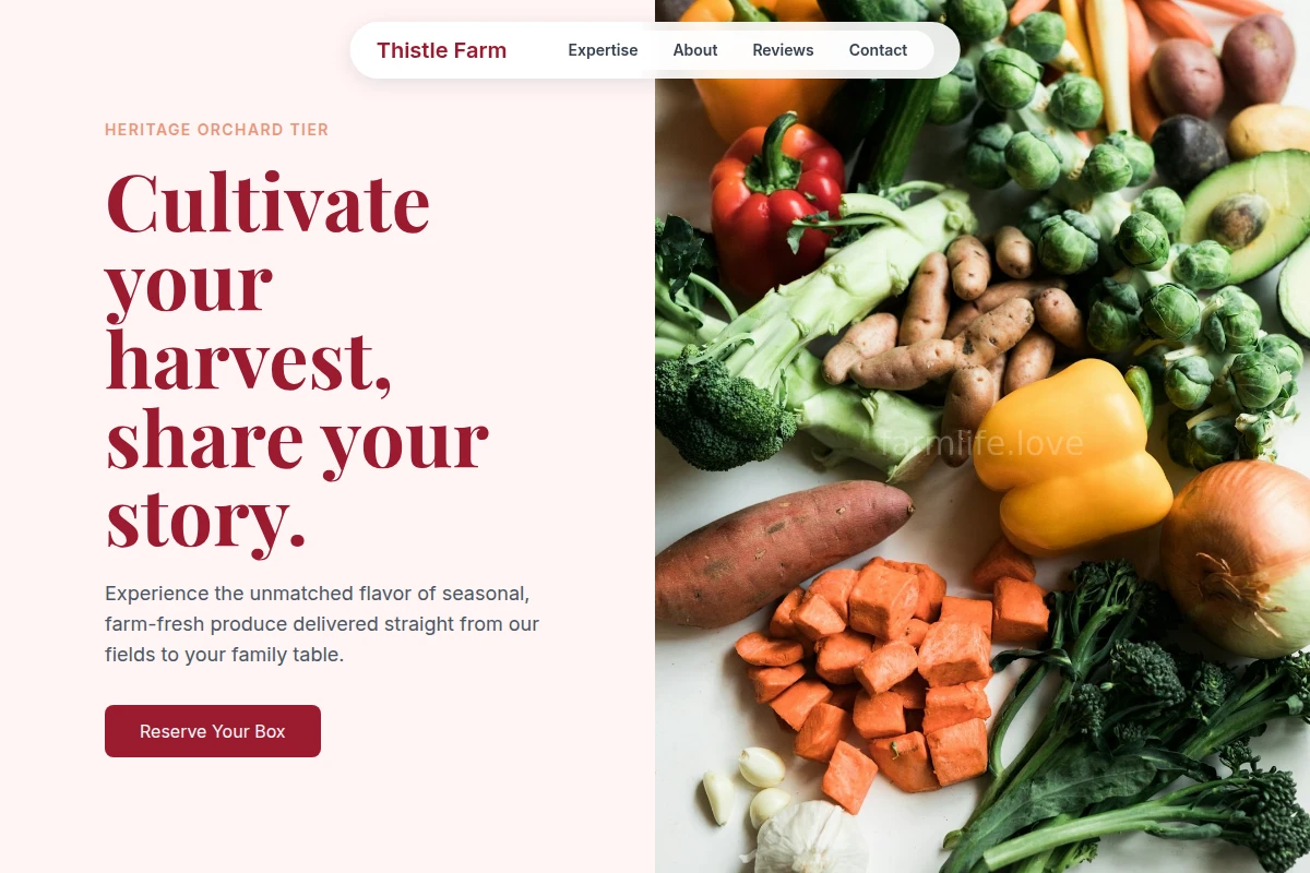 Thistle Farm Food Service