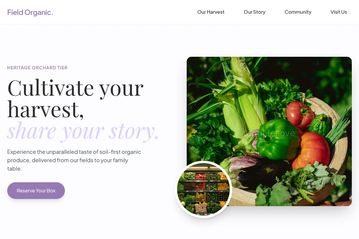 Field Organic Food