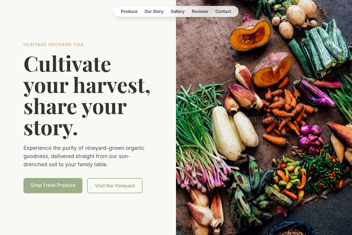 Vineyard Organic Food