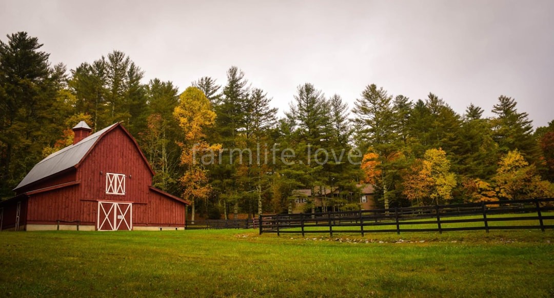 Farm Landscape
